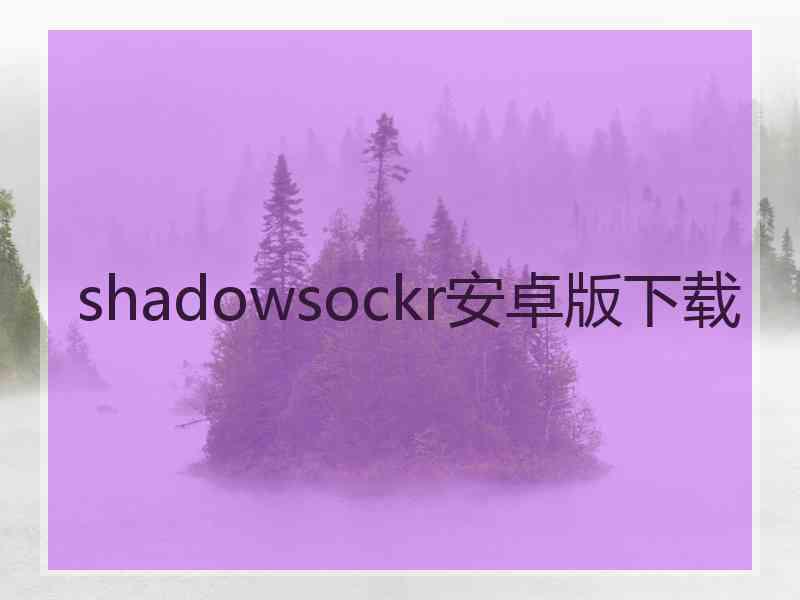 shadowsockr安卓版下载